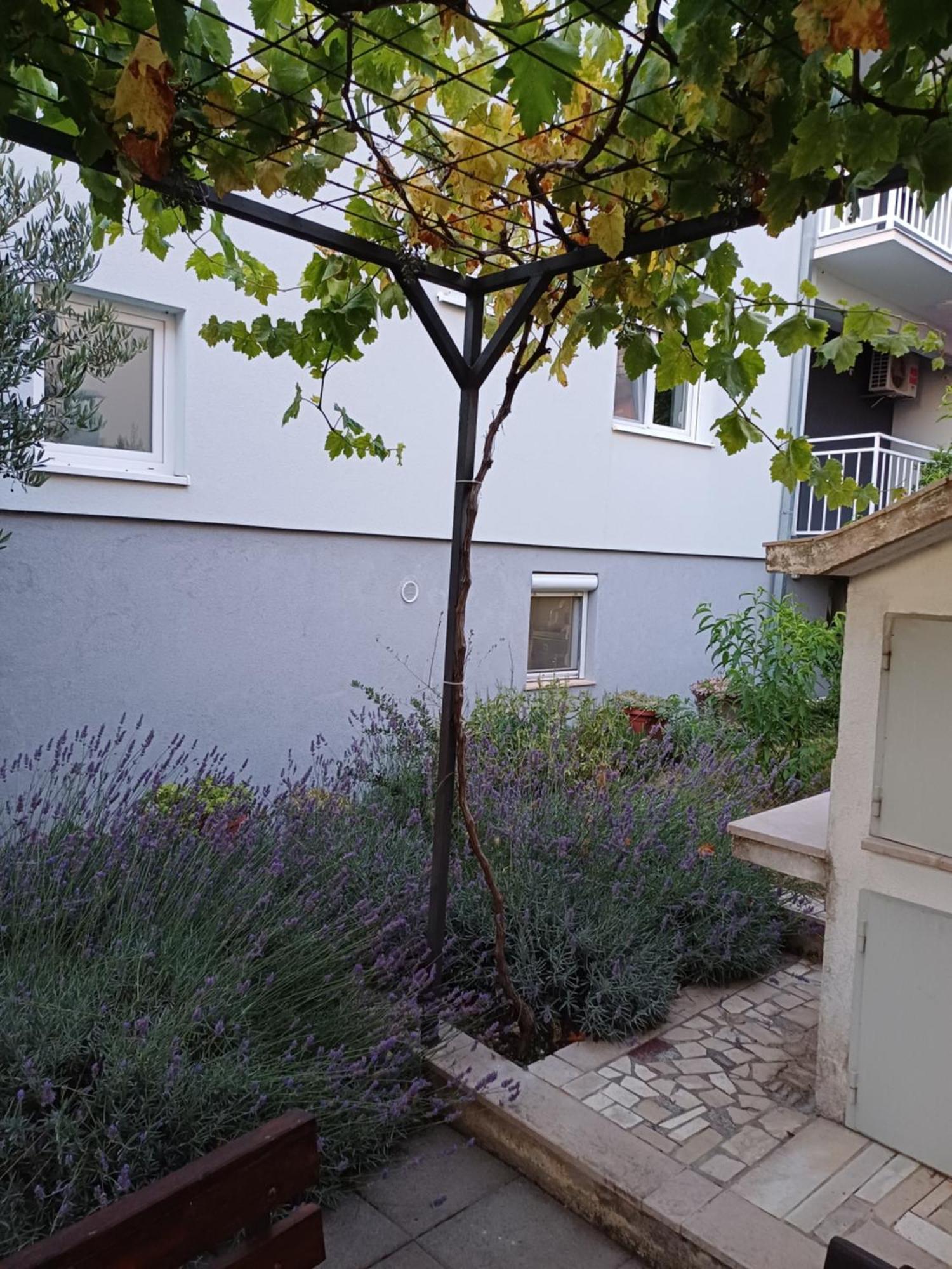 Apartment Sano Подстрана Номер фото